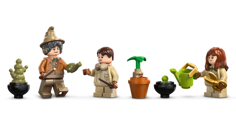 Hogwarts Castle: Herbology Class