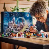 Harry Potter Calendar 2025