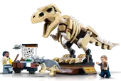 T. rex Dinosaur Fossil Exhibition