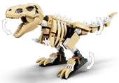 T. rex Dinosaur Fossil Exhibition