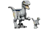 Blue & Beta Velociraptor Capture