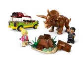 Triceratops Research