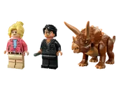 Triceratops Research