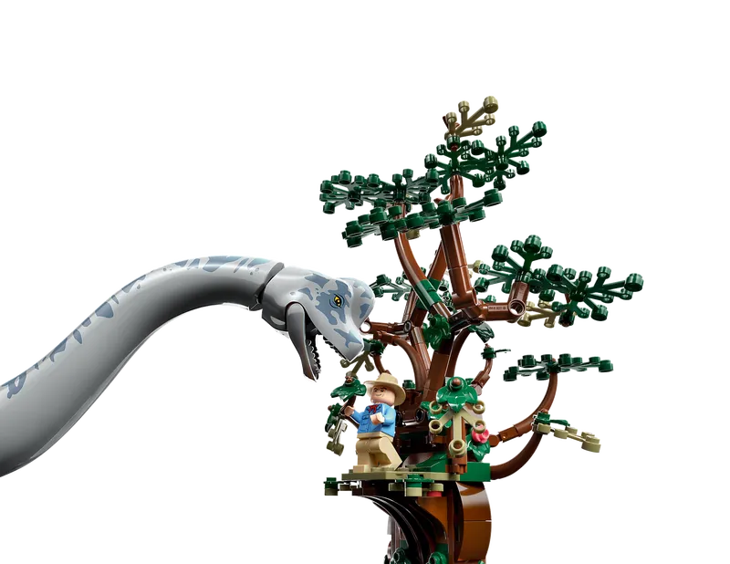 Brachiosaurus Discovery