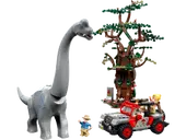Brachiosaurus Discovery
