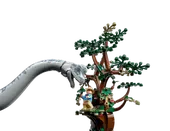 Brachiosaurus Discovery
