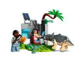 Baby Dinosaur Rescue Center