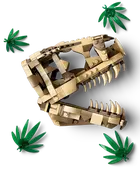 Dinosaur Fossils: T. rex Skull