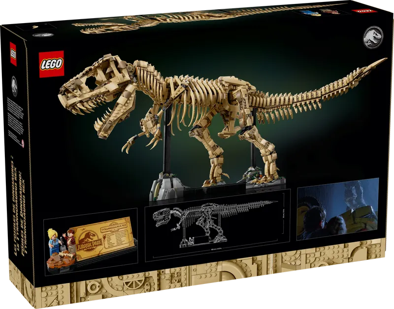 Dinosaur Fossils: Tyrannosaurus Rex
