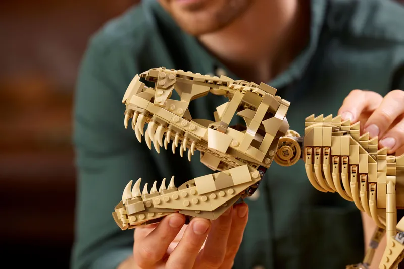 Dinosaur Fossils: Tyrannosaurus Rex