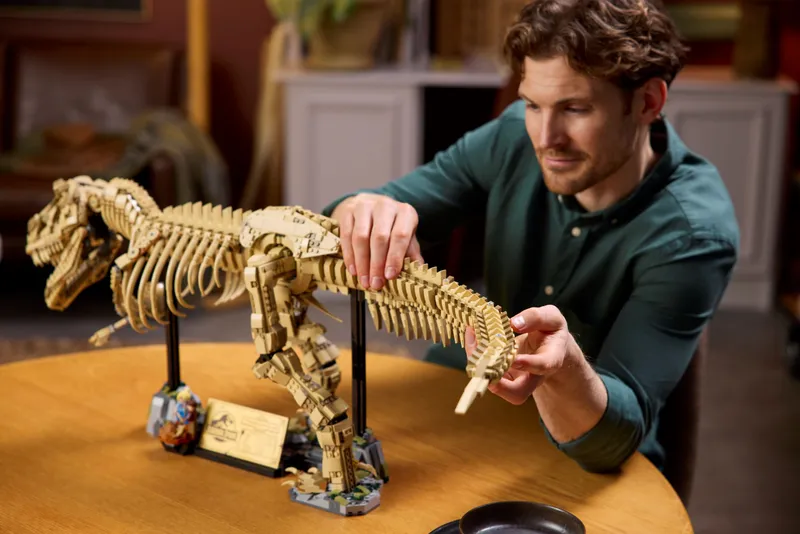 Dinosaur Fossils: Tyrannosaurus Rex