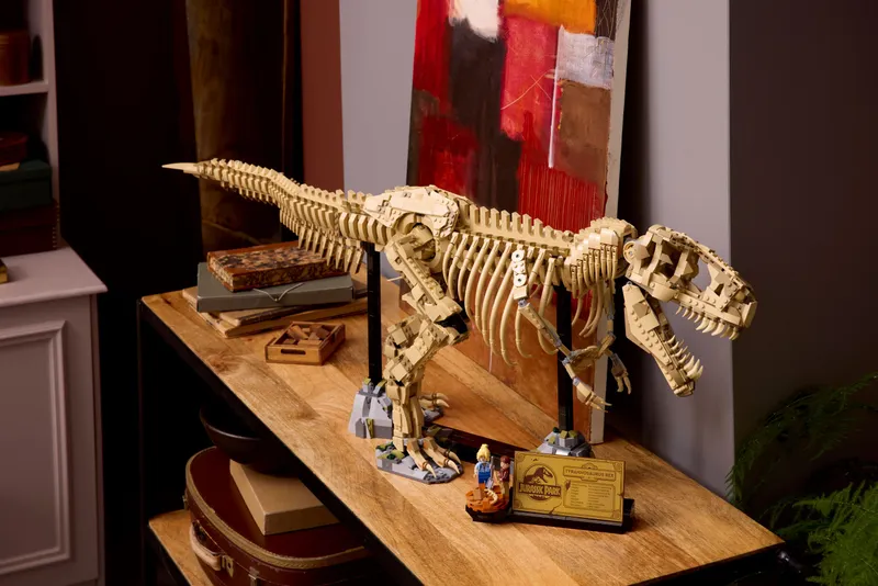 Dinosaur Fossils: Tyrannosaurus Rex