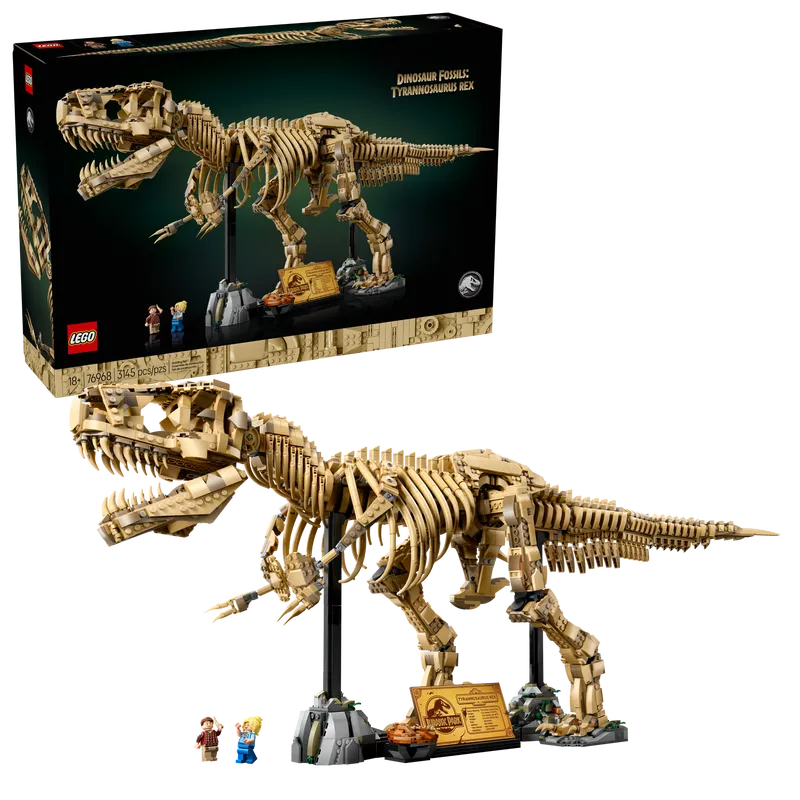 Dinosaur Fossils: Tyrannosaurus Rex