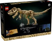Dinosaur Fossils: Tyrannosaurus Rex