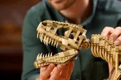 Dinosaur Fossils: Tyrannosaurus Rex