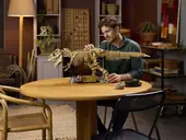 Dinosaur Fossils: Tyrannosaurus Rex