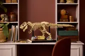 Dinosaur Fossils: Tyrannosaurus Rex