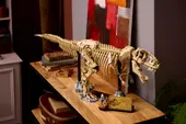 Dinosaur Fossils: Tyrannosaurus Rex