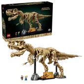 Dinosaur Fossils: Tyrannosaurus Rex