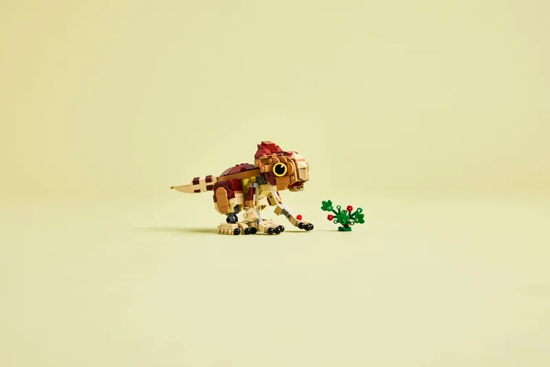 Baby Dinosaur Dolores: Aquilops