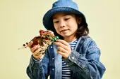 Baby Dinosaur Dolores: Aquilops