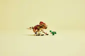Baby Dinosaur Dolores: Aquilops
