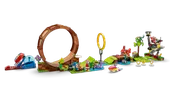 Sonic's Green Hill Zone Loop Challenge