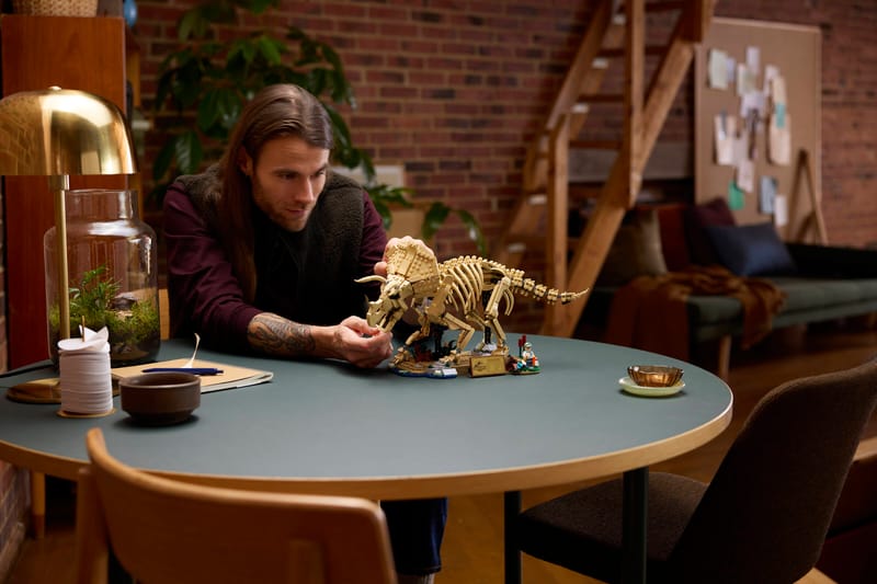 Dinosaur Fossils: Triceratops