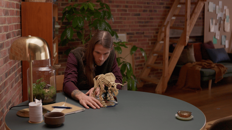 Dinosaur Fossils: Triceratops