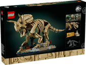 Dinosaur Fossils: Triceratops