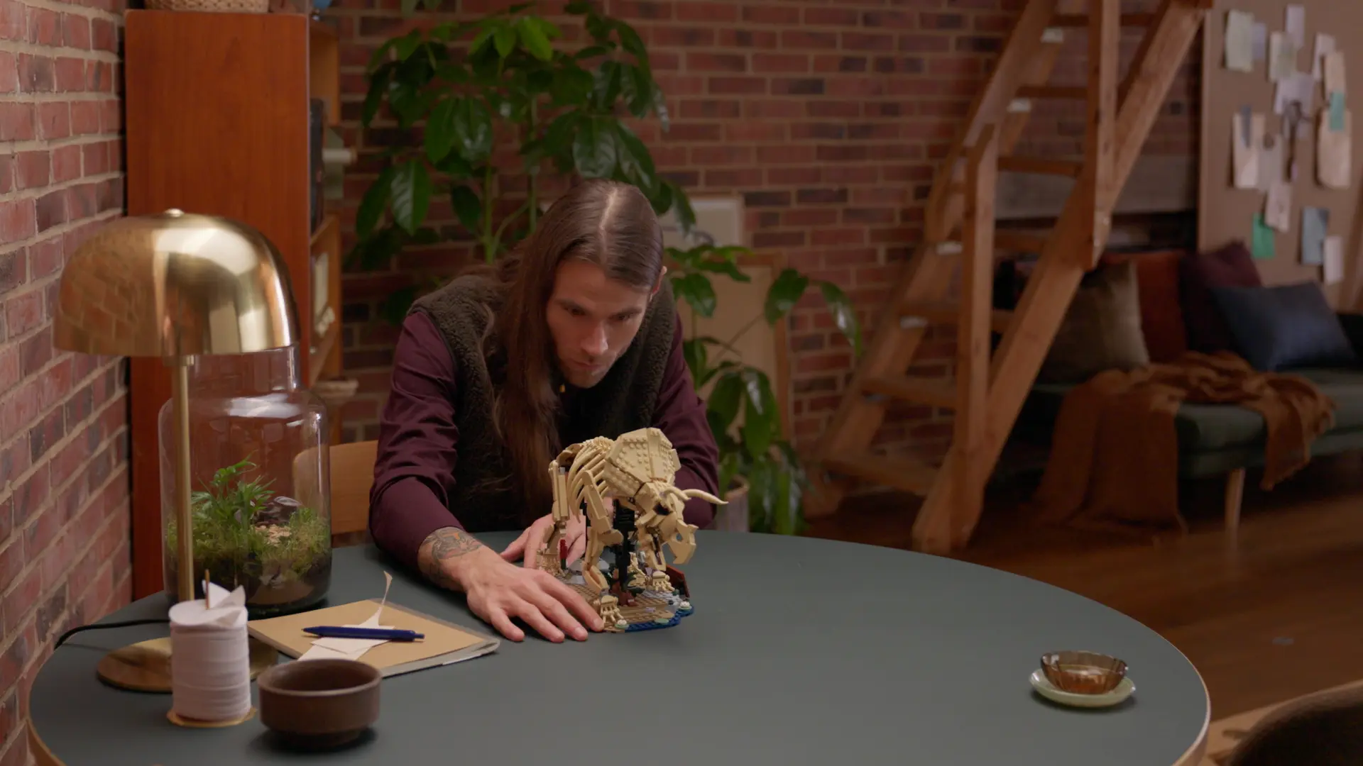 Dinosaur Fossils: Triceratops