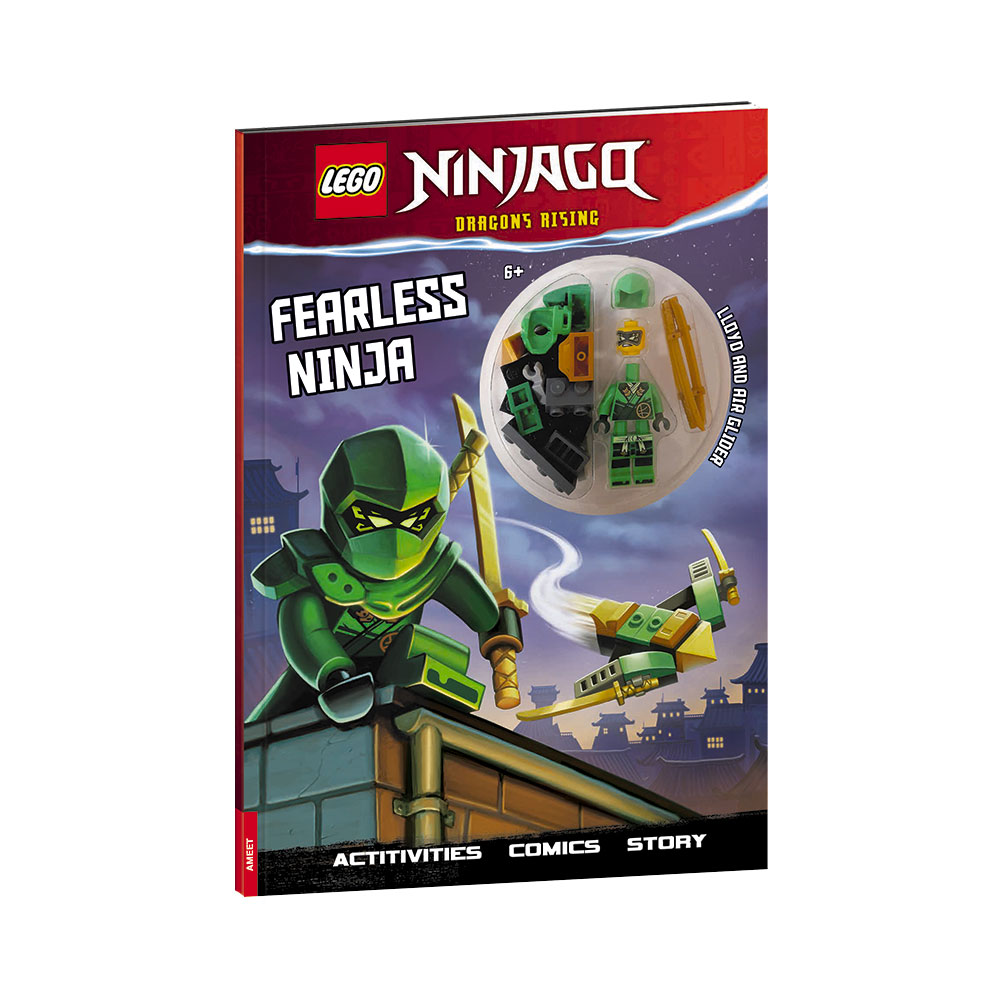 Ninjago: Fearless Ninja
