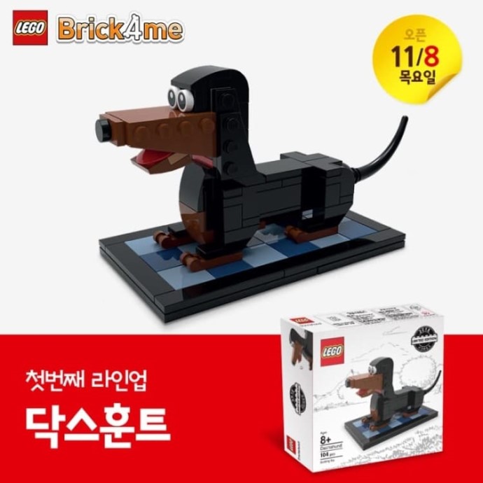 Dachshund