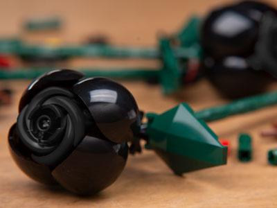 Black Roses