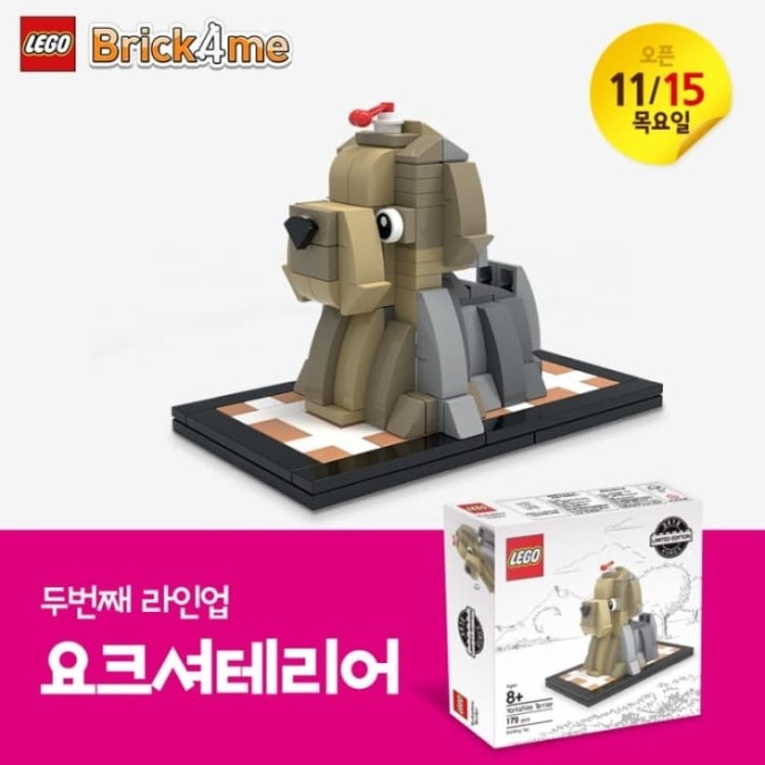 Yorkshire Terrier Yorkshire Terrier